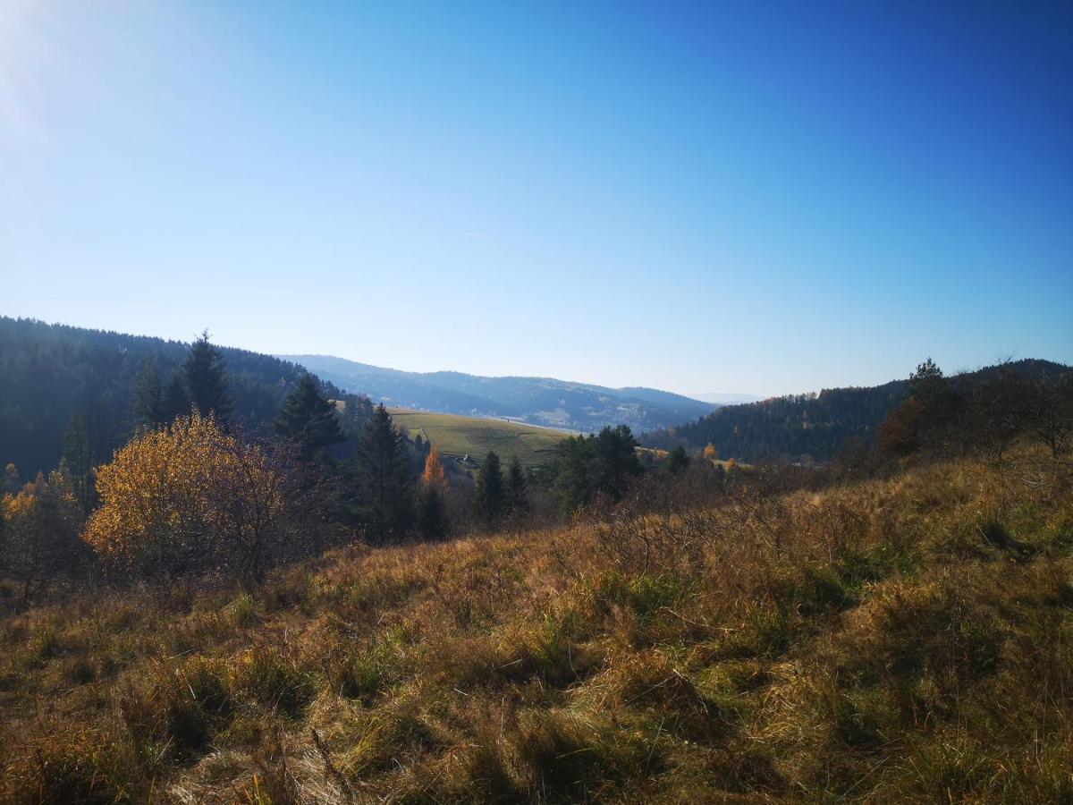 Apartamenty u Janka Krynica Zdroj Bagian luar foto